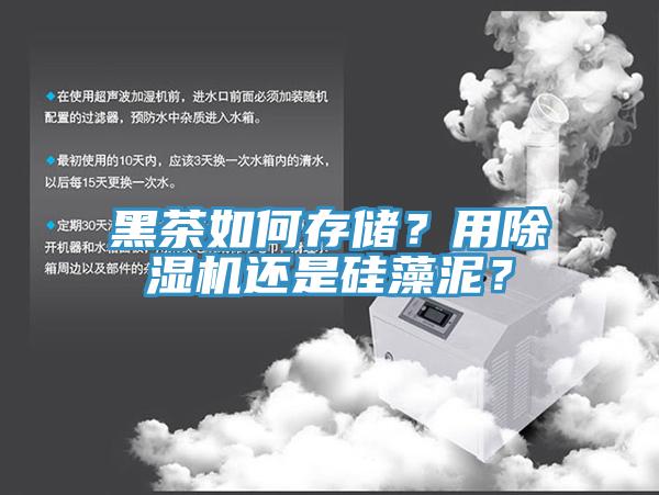 黑茶如何存储？用好色先生免费APP还是硅藻泥？