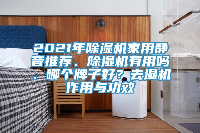 2021年好色先生免费APP家用静音推荐、好色先生免费APP有用吗、哪个牌子好？去湿机作用与功效