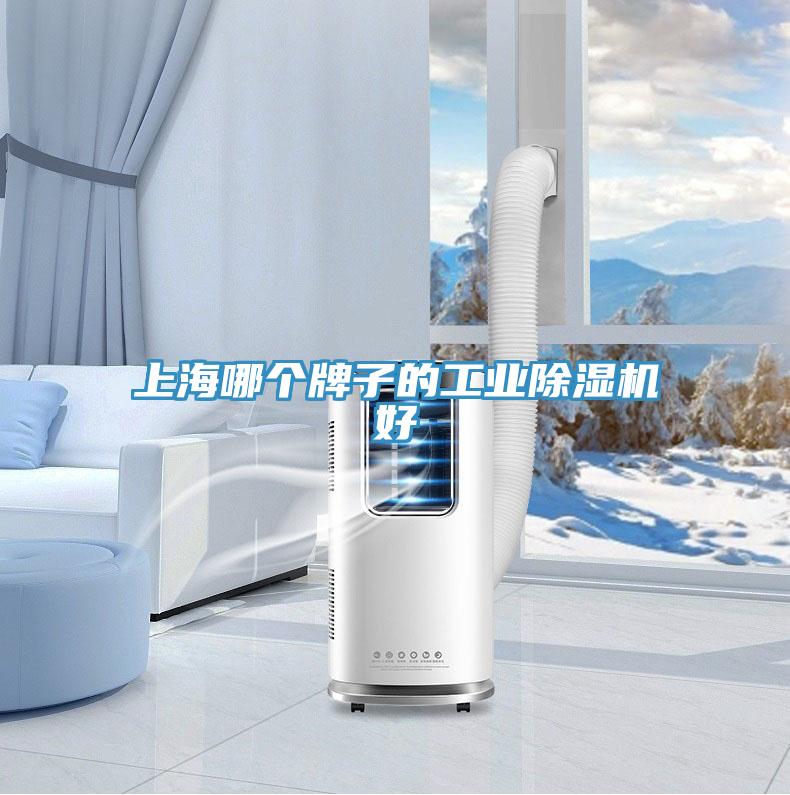 上海哪个牌子的工业好色先生免费APP好