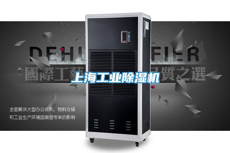 上海工业好色先生免费APP