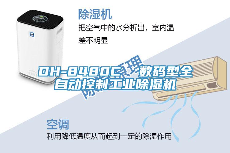 DH-8480C  数码型全自动控制工业好色先生免费APP
