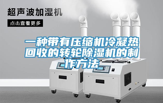 一种带有压缩机冷凝热回收的转轮好色先生免费APP的制作方法