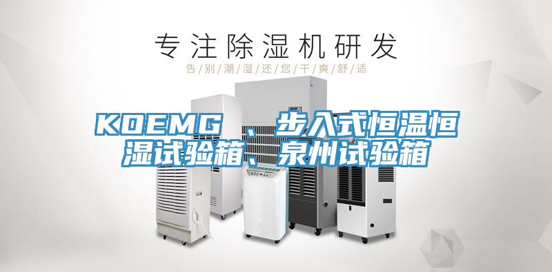 KOEMG 、步入式恒温恒湿试验箱、泉州试验箱