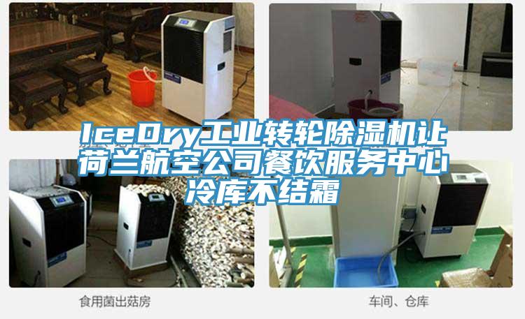 IceDry工业转轮好色先生免费APP让荷兰航空公司餐饮服务中心冷库不结霜