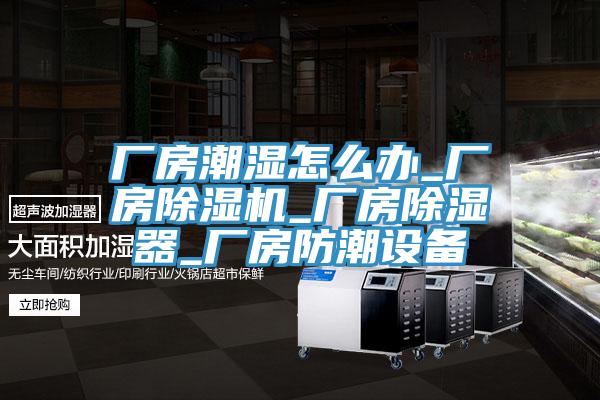 厂房潮湿怎么办_厂房好色先生免费APP_厂房除湿器_厂房防潮设备