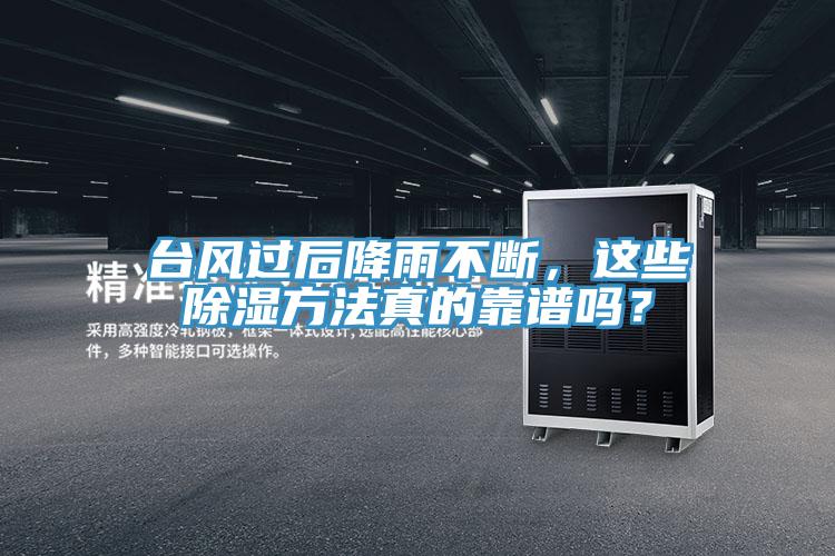 台风过后降雨不断，这些除湿方法真的靠谱吗？