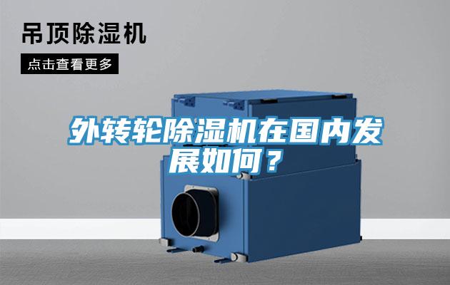外转轮好色先生免费APP在国内发展如何？