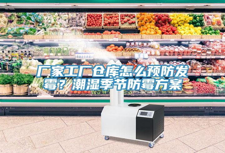 厂家工厂仓库怎么预防发霉？潮湿季节防霉方案