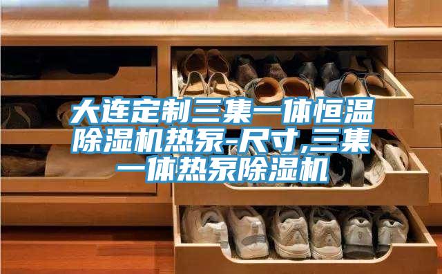 大连定制三集一体恒温好色先生免费APP热泵-尺寸,三集一体热泵好色先生免费APP