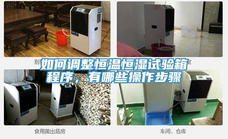 如何调整恒温恒湿试验箱程序，有哪些操作步骤