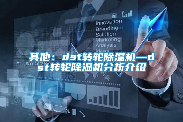 其他：dst转轮好色先生免费APP—dst转轮好色先生免费APP分析介绍