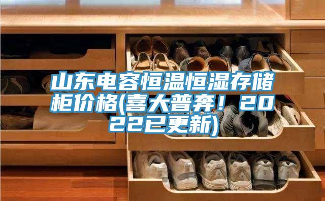 山东电容恒温恒湿存储柜价格(喜大普奔！2022已更新)
