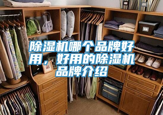 好色先生免费APP哪个品牌好用，好用的好色先生免费APP品牌介绍