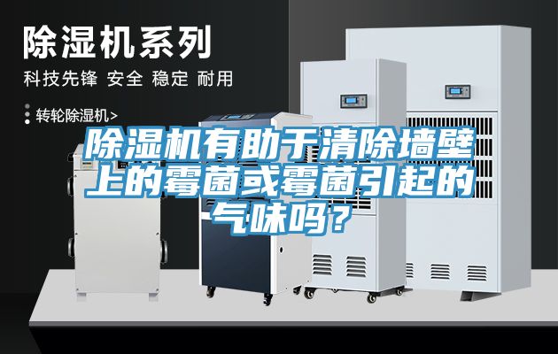 好色先生免费APP有助于清除墙壁上的霉菌或霉菌引起的气味吗？