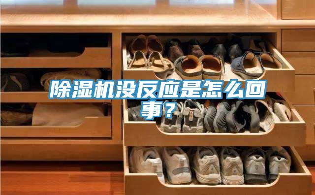 好色先生免费APP没反应是怎么回事？