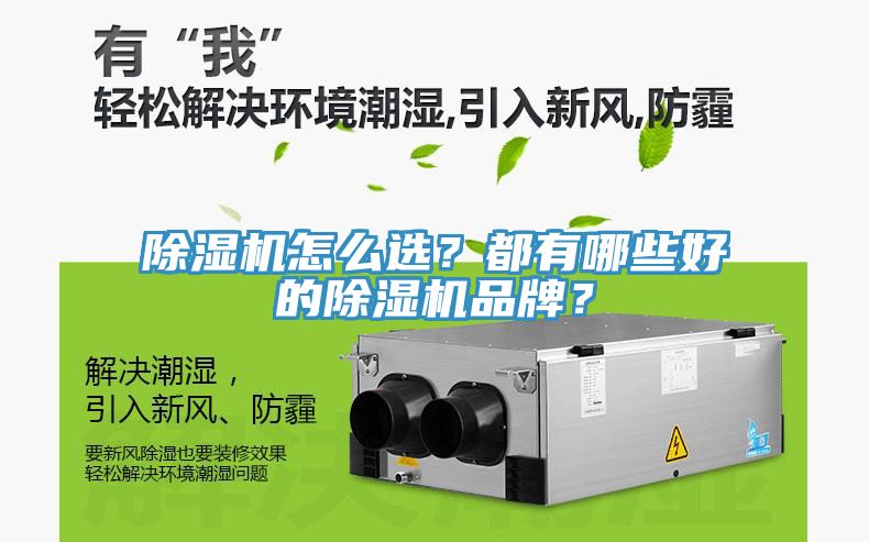 好色先生免费APP怎么选？都有哪些好的好色先生免费APP品牌？