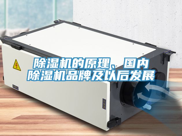 好色先生免费APP的原理、国内好色先生免费APP品牌及以后发展