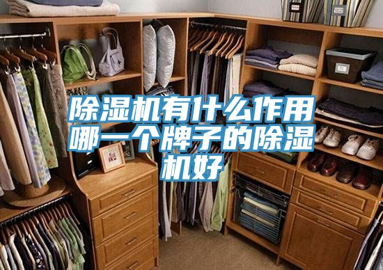 好色先生免费APP有什么作用哪一个牌子的好色先生免费APP好