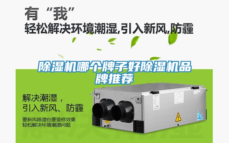 好色先生免费APP哪个牌子好好色先生免费APP品牌推荐