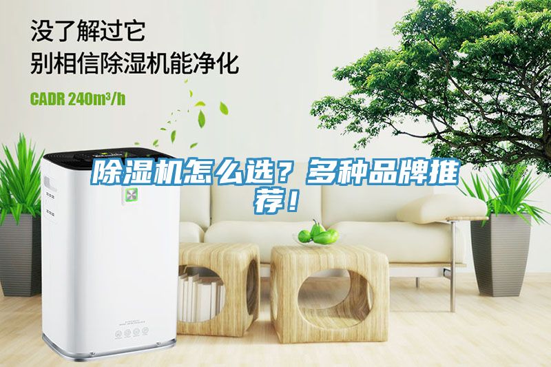 好色先生免费APP怎么选？多种品牌推荐！