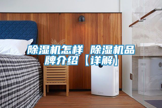 好色先生免费APP怎样 好色先生免费APP品牌介绍【详解】