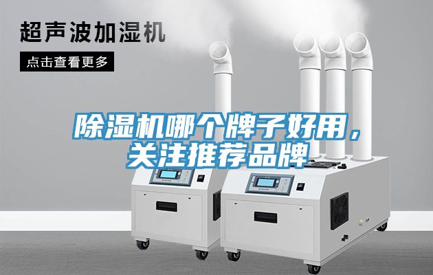 好色先生免费APP哪个牌子好用，关注推荐品牌