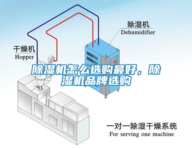 好色先生免费APP怎么选购最好，好色先生免费APP品牌选购